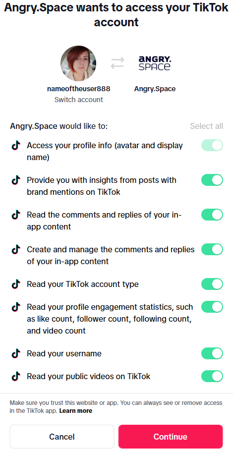 TikTok connection